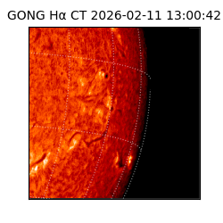 gong - 2026-02-11T13:00:42