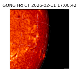 gong - 2026-02-11T17:00:42