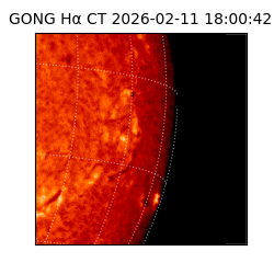 gong - 2026-02-11T18:00:42