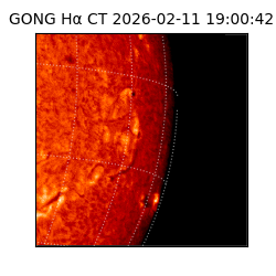 gong - 2026-02-11T19:00:42