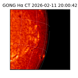 gong - 2026-02-11T20:00:42