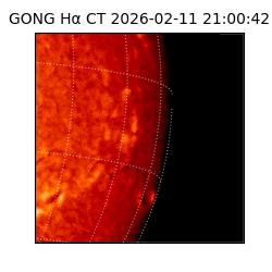 gong - 2026-02-11T21:00:42