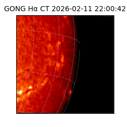 gong - 2026-02-11T22:00:42