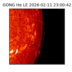 gong - 2026-02-11T23:00:42