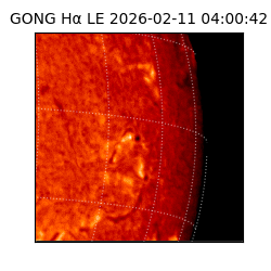 gong - 2026-02-11T04:00:42