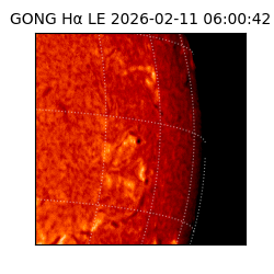 gong - 2026-02-11T06:00:42