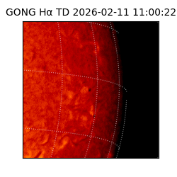 gong - 2026-02-11T11:00:22