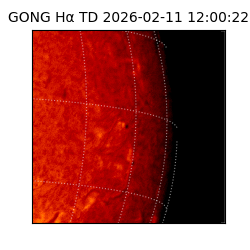 gong - 2026-02-11T12:00:22