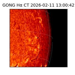 gong - 2026-02-11T13:00:42