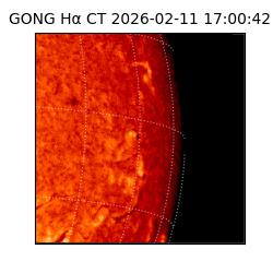 gong - 2026-02-11T17:00:42