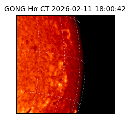 gong - 2026-02-11T18:00:42