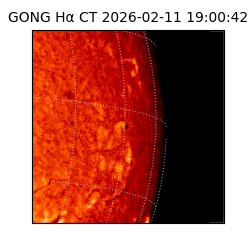 gong - 2026-02-11T19:00:42