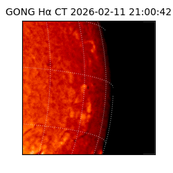 gong - 2026-02-11T21:00:42