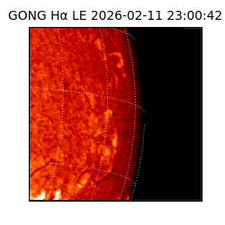 gong - 2026-02-11T23:00:42