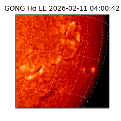 gong - 2026-02-11T04:00:42