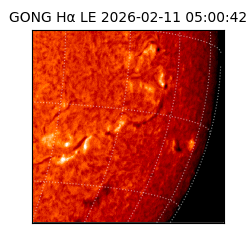 gong - 2026-02-11T05:00:42