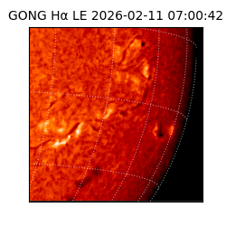 gong - 2026-02-11T07:00:42