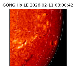 gong - 2026-02-11T08:00:42