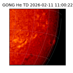 gong - 2026-02-11T11:00:22