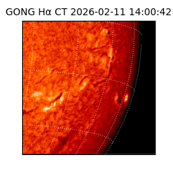 gong - 2026-02-11T14:00:42
