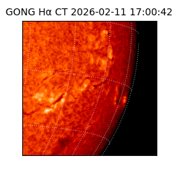 gong - 2026-02-11T17:00:42