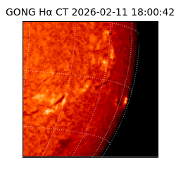 gong - 2026-02-11T18:00:42