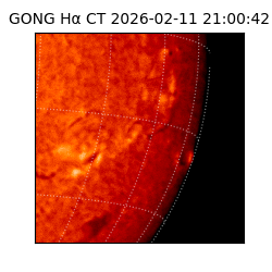 gong - 2026-02-11T21:00:42