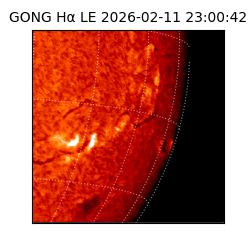 gong - 2026-02-11T23:00:42