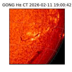 gong - 2026-02-11T19:00:42