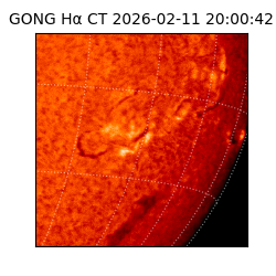 gong - 2026-02-11T20:00:42