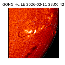 gong - 2026-02-11T23:00:42