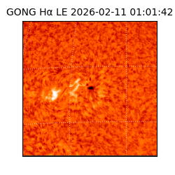 gong - 2026-02-11T01:01:42