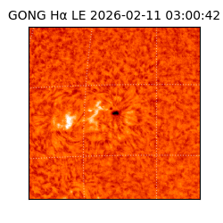 gong - 2026-02-11T03:00:42