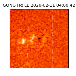 gong - 2026-02-11T04:00:42