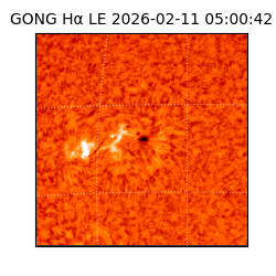 gong - 2026-02-11T05:00:42