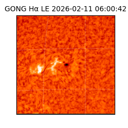 gong - 2026-02-11T06:00:42