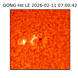 gong - 2026-02-11T07:00:42