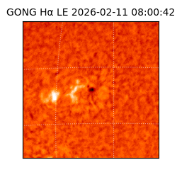 gong - 2026-02-11T08:00:42