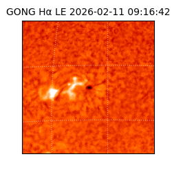 gong - 2026-02-11T09:16:42