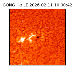 gong - 2026-02-11T10:00:42