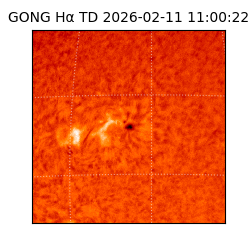 gong - 2026-02-11T11:00:22