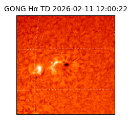 gong - 2026-02-11T12:00:22