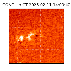 gong - 2026-02-11T14:00:42