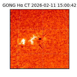 gong - 2026-02-11T15:00:42