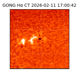 gong - 2026-02-11T17:00:42