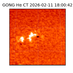 gong - 2026-02-11T18:00:42