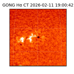 gong - 2026-02-11T19:00:42
