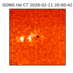 gong - 2026-02-11T20:00:42