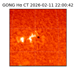 gong - 2026-02-11T22:00:42