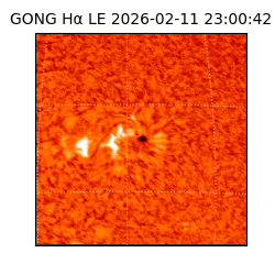 gong - 2026-02-11T23:00:42